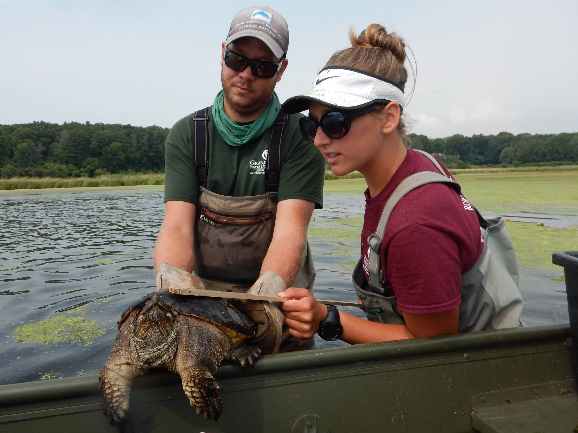 Travis and Maria measure the shell length of a large snapping turtle.
